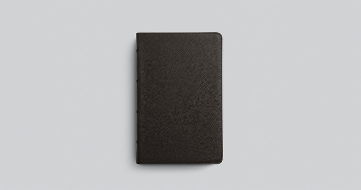 Buffalo Leather ESV Large Print Personal Size Bible - Chapter House Leather