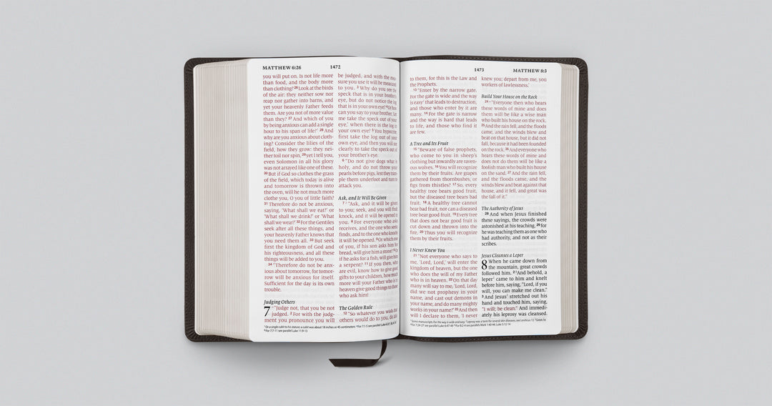 Buffalo Leather ESV Large Print Personal Size Bible - Chapter House Leather