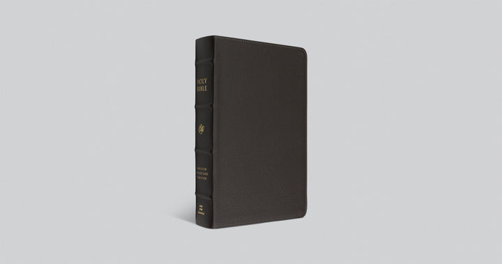 Buffalo Leather ESV Large Print Personal Size Bible - Chapter House Leather