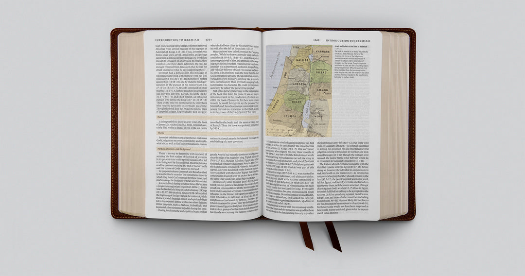 ESV Study Bible in Deep Brown Cowhide