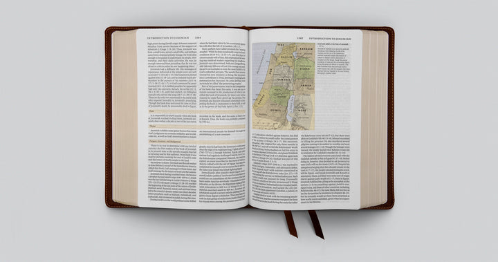 ESV Study Bible in Deep Brown Cowhide