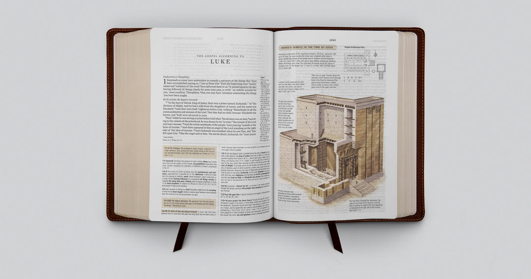 ESV Study Bible in Deep Brown Cowhide