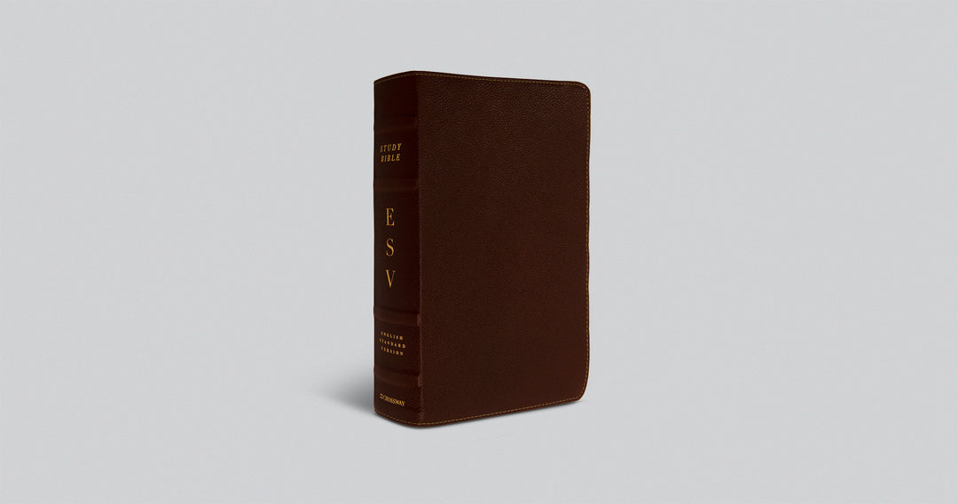 ESV Study Bible in Deep Brown Cowhide
