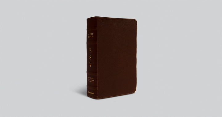 ESV Study Bible in Deep Brown Cowhide