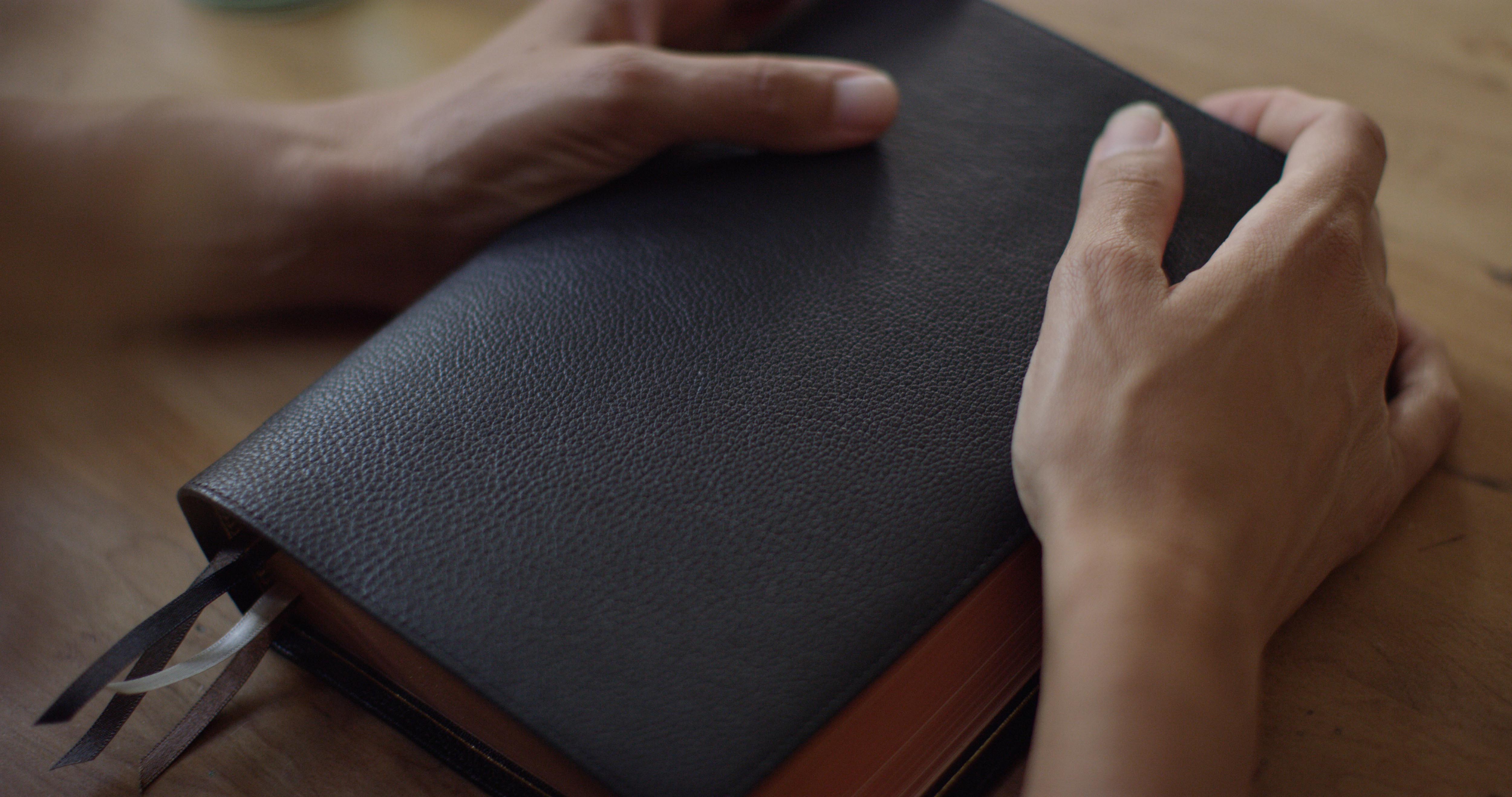 ESV Heirloom Bible Heritage Edition Goatskin Black Chapter