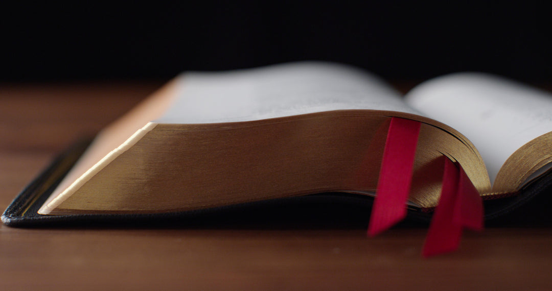 ESV Heirloom Bible, Veritas: Single Column Edition Goatskin, Black