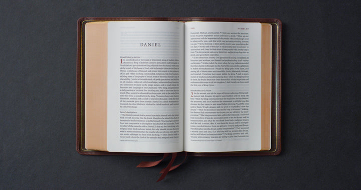 ESV Heirloom Bible, Veritas: Single Column Edition Calfskin, Grenada