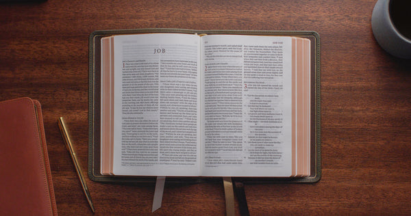 ESV Heirloom Bible, Alpha: Personal Size Edition Cowhide, Tuscan